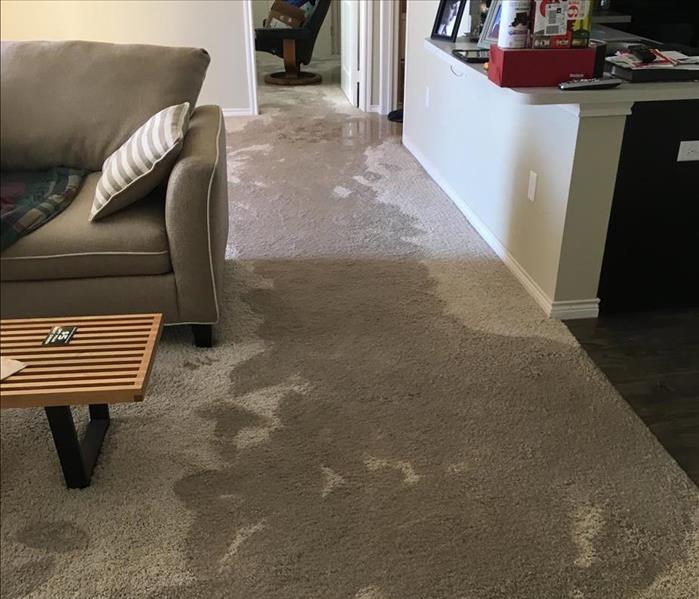Flooded carpet in kitchen/living room