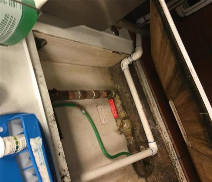 Utility Sink pulled, mold exposed