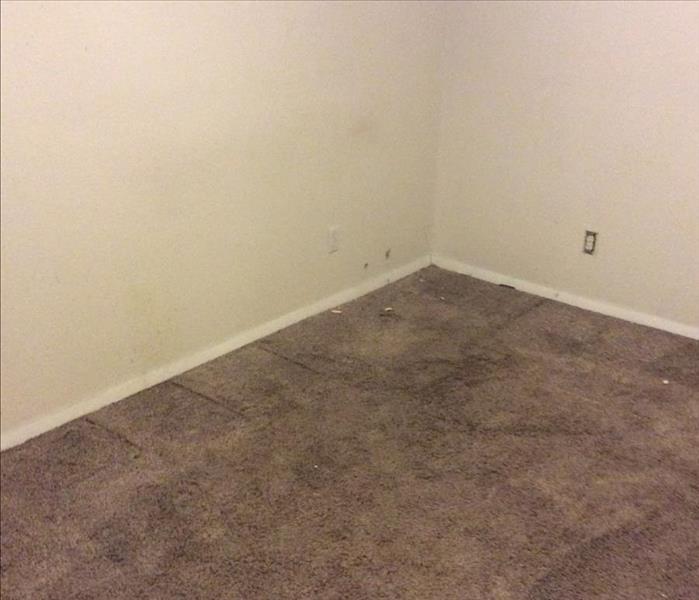 Water Soaked carpet in an empty room