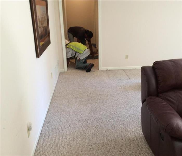 two employees cleaning carpet 