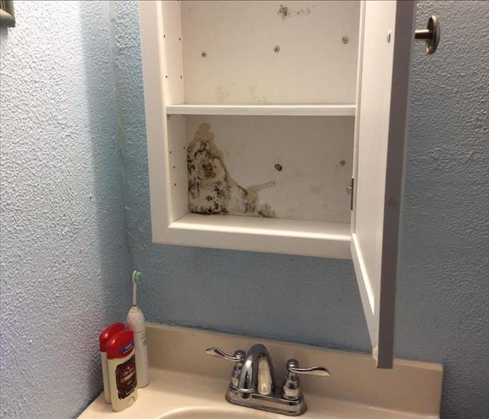 Mold in home bathroom vanity