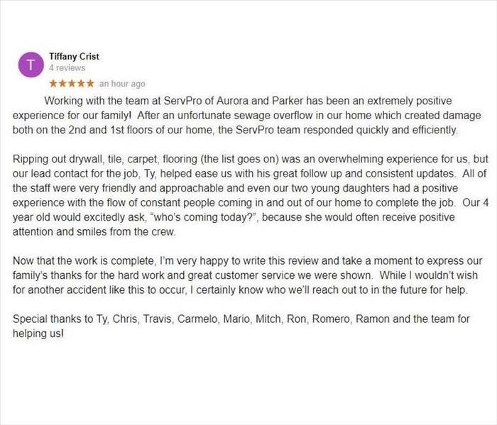 Screen shot of an online review from a customer