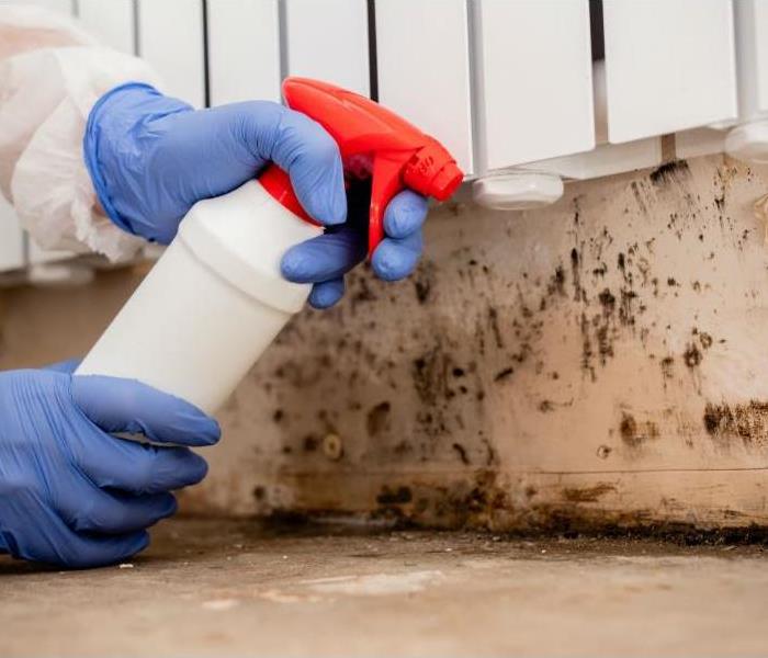 mold remediation with spray bottle